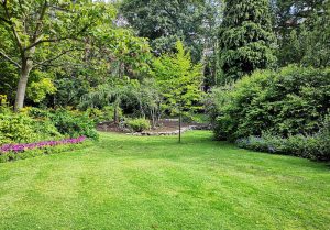 Optimiser l'expérience du jardin à Cuigy-en-Bray